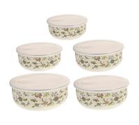 ULTECHNOVO 5 Pièces Lot de Bols Émail avec Couvercle Bols de Service Salade Empilables avec Couvercle Hermétique pour Conservation Fraîcheur et Soupe pour Cuisine et Réfrigérateur
