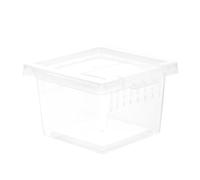 ULTECHNOVO Boîte Alimentation pour Reptiles en Plastique Pratique et Facile à Utiliser pour Lézards et Escargots en Extérieur