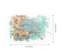 ULTECHNOVO Boîte de Fleurs Séchées Naturelles pour Résine et Bougies 1 Coffret DIY Multifonction pour Décoration Mariage Nail Art et Loisirs Créatifs Fleurs Pressées pour Scrapbooking et