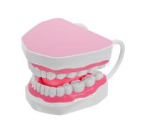 ULTECHNOVO Modèle de Dents Primaires Modèle de Bouche Dentaire en Pvc Rose, Structure Réaliste, Surface Facile à Nettoyer, pour Étudiants, la Maison Milieux D’apprentissage Variés