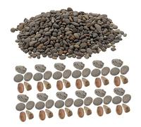 ULTECHNOVO Pierres De Rivière Décoratives 2-5 Mm Micro-aménagement en Galets Naturels 60 g en Kit pour Aquarium Et Diorama De Jardin