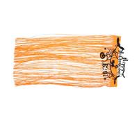 ULTECHNOVO Rideau de Porte Halloween en Pet Orange Léger et Solide Bannière Décorative pour Fête, Décoration Automne Classique pour Ambiance Effrayante