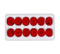 ULTECHNOVO Rose Rouge Préservée 3-4 CM Boîte de 12 Fleurs Jamais Fanées Décoration Mariage et Saint Valentin Fleurs Véritables Éternelles pour Bouquet DIY et Présents Romantiques