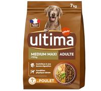 Ultima - Croquettes Savoureuses pour Chien Adulte Medium & Maxi, Digestion Douce au Poulet, Sac 7kg - Lot de 1