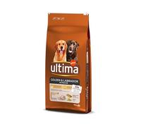 Ultima Medium-Maxi Golden & Labrador Poulet - Nourriture sèche pour Chiens, 14 kg