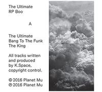 Ultimate [12 Inch Analog]