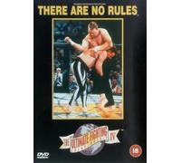 Ultimate Fighting Championship IV