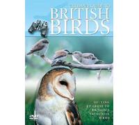 Ultimate Guide To British Birds