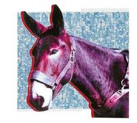 Protomartyr – Ultimate Success Today – CD