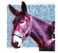 Ultimate Success Today [輸入盤CD] (WIGCD464)_1068