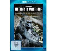 Ultimate Wildlife Vol. 6-Spielen und Lernen & Erfindungsreichtum [Import]