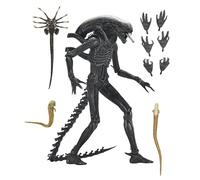 NECA – Figurine d'action Ultimate Xenomorph xx121 Scale 18 cm – Alien : Romulus