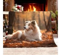 Ultra Douce et Duveteuse Couverture Douillette 180x200 cm Chien dans Les Bois d'automne Lavable à sans rétrécissement ni Peluches Brun Couverture Chaude Décoration d'intérieur Plaid Polaire