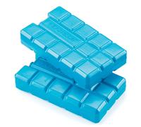 Brunner Outdoor Accumulateur de froid pour réfrigérateurs portables Plastique Blanc Lot de 2 x 200 g