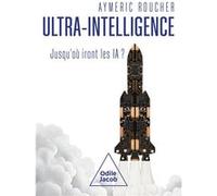 Ultra-intelligence Aymeric Roucher (Auteur)