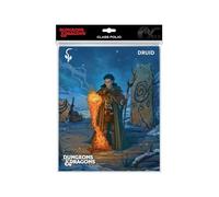 Ultra-PRO 194590 Accessoires Dungeons & Dragons Class Folio Druid, Multicolore