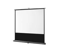 Ecran de projection celexon Ultramobile PRO 180 x 135 cm