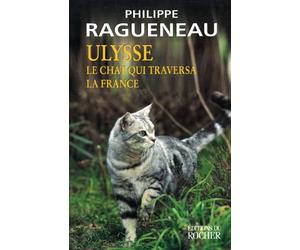 Ulysse, le chat qui traversa la France