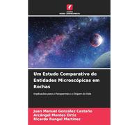 Um Estudo Comparativo de Entidades Microscópicas em Rochas
