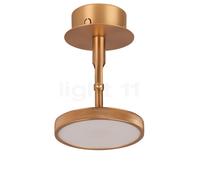 Umage Asteria Spot LED laiton Ce luminaire comporte des modules à LED prémontés de classes énergétiques A A++, A+, A