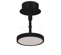 Umage Asteria Spot Noir