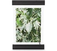 Umbra - Cadre photo en bois 13 x 18 cm Scroll noir Noir G