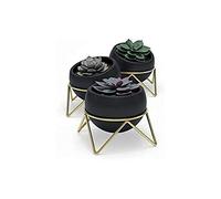 Support de pot Umbra - Support à plantes Posty (Lot de 3)