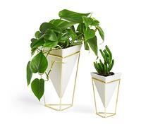 UMBRA Trigg, Jardinière de Bureau & Pot Géométrique - Idéal pour des Plantes Succulentes, des Plantes Aériennes, des Mini Cactus, des Fausses Plantes et Autres, Céramique Blanche/Laiton (Lot de 2)