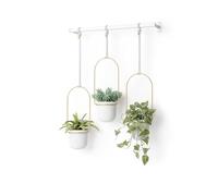 Umbra Triflora Ensemble de 3 pots suspendus, Ajustable Jardinière d'intérieure Suspendue avec Rails, Blanc/Laiton