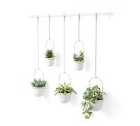 Umbra Triflora Ensemble de 5 pots suspendus, Ajustable Jardinière d'intérieure Suspendue avec Rails, Blanc/Laiton
