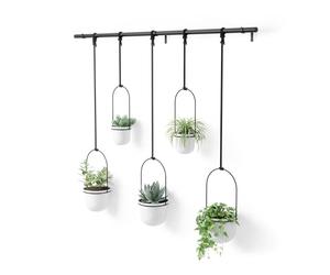Umbra Triflora Ensemble de 5 Pots Suspendus, Ajustable Jardinière d'intérieure Suspendue avec Rails, Blanc