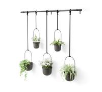 Umbra Triflora Ensemble de 5 pots suspendus, Ajustable Jardinière d'intérieure Suspendue avec Rails, Noir