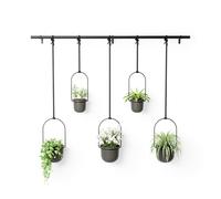 Umbra Triflora support de plantes 138x18x95cm pour 5 plantes Acier Noir 1018086-040