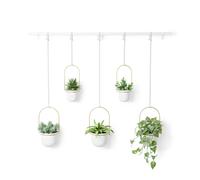 Umbra Triflora support de plantes 64x110x15cm pour 5 plantes Acier Blanc/or 1018086-524