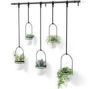 Umbra Triflora Ensemble de 5 pots suspendus, Ajustable Jardinière d'intérieure Suspendue avec Rails, Blanc
