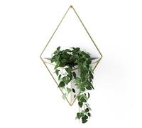 Umbra Trigg Jardinière Suspendue et Décoration Murale Géométrique pour Petite Plante, Plante Succulente et Bien Plus Encore, Blanc/Laiton