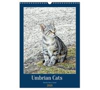 Umbrian Cats (Wall Calendar 2026 DIN A3 portrait), CALVENDO 12 Month Wall Calendar: Photo art portraits of cats from Umbria in Central Italy
