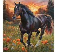 Umfarvt 5D Lawn Horse Diamond Painting Kits for Adults Kids,DIY Round Full Drill diamond art painting kits,Canvas Embroidery Diamond Art Craft for Home Wall Decor 90x90cm