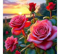 Umfarvt 5D Rose Scenery Diamond Painting Kits for Adults Kids,DIY Square Full Drill diamond art painting kits,Canvas Embroidery Diamond Art Craft for Home Wall Decor 70x70cm