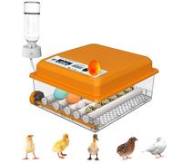 Umisu Incubateur d'Œufs Automatique 12-16 Œufs, Couveuse avec Contrôle de Température, Rouleaux Réglables, Ajout d'Eau Automatique et Mire-Œuf Intégré, Orange