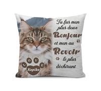 Umitive Coussin Hommage Animal - Personnalisable avec Photo et Nom - Peluche de Soutien pour la Perte de Son Chat/Chien/Animal de Compagnie - Cadeau Réconfortant (Style C)