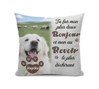 Umitive Oreiller Commémoratif pour Chien Personnalisé - Coussin Photo et Nom Customisé - Souvenir Réconfortant pour Animaux Décédés (Style D)