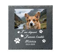 Umitive Pierre Tombale Personnalisée pour Animal de Compagnie - Plaque Commémorative Carrée avec Photo et Nom - Cadeau en Mémoire d'un Chien - Décoration pour Cimetière d'animaux (Style E)