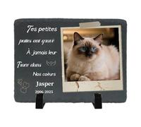 Umitive Pierre Tombale Personnalisée pour Chat - Plaque Commémorative avec Photo - Cadeau Souvenir pour Animal Décédé - Décoration Jardin (Style M)