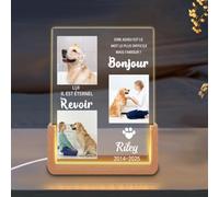 Umitive Veilleuse Mémoire pour Chien Personnalisée - Lampe LED avec Photo & Nom d'animal, Cœur & Empreintes de Patte, Cadeau de Deuil pour Amoureux des Chiens, Souvenir avec Date (Style B)
