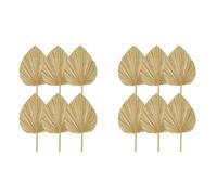 Umsoxhy 12 Pièces Feuilles de Palmier Séchées Éventails de Palmiers Séchés Naturels, Grande de Palmier pour Décor de Mariage Boho, Décoration de Feuilles de Palmier Tropicales S