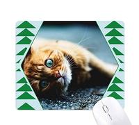 un Å“il bleu cat photo animaux tapis de souris green pine tree tapis en caoutchouc