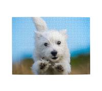 Un Adorable Chiot West Highland Terrier Courant - Puzzle de 500 pièces en Bois pour Adultes et Personnes âgées