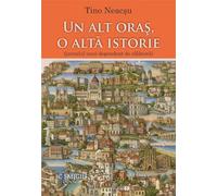 Un alt oras, o alta istorie - Tino Neacsu