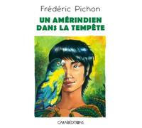 Un Amérindien dans la tempête